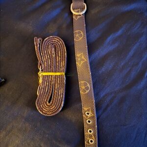STYLISH Brown XS dog collar & leash with Gold Accents